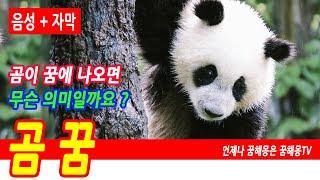 곰 꿈해몽, 상황별 곰꿈 모음, 펜더곰꿈, 야생곰 꿈, 펜더곰, 곰 키우는 꿈, 곰이 달려 드는 꿈, 곰이 안기는 꿈,곰 나오는 꿈, 곰 관련 꿈, 웅담 먹는 꿈, 예언, 예지몽