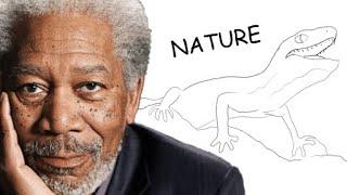 Morgan Freeman Narrates Nature: Lizard vs Newt (animatic)