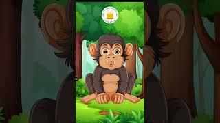 Wild Animals Names in English for Kids | Tamilarasi English