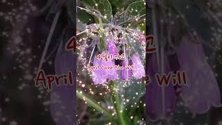 4월이 가고 #4월 #사랑 #추억 #그리움 #꽃 #flowers #nature #garden