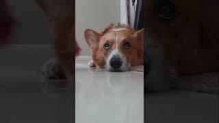 Side eye?