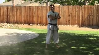 How Ryu from Street Fighter plants a lawn...on Paul Gale Network