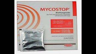 ⟹ Mycostop Biofungicide | Verdera | How to apply to garden plants