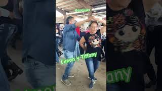 Pulga de Alamo Texas #cumbia #musica #cumbias #sonideros #baile #youtubeshorts #dance #humor #shiv