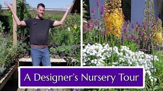 Designer's Nursery Tour: Fruits & Shoots Plant Farm