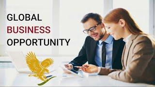 FLP  BOPP | GLOBAL BUSINESS OPPORTUNITY | WORK FROM HOME | HINDI | DANISH KHAN