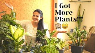 I Bought More Plants || Recent Plant Haul || Indoor Plants || Actress Sadaa || Sadaa’s Green Life