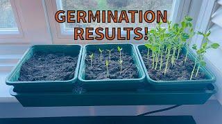  The Best Heated Electric Propagator Review UK 2024  Germination Results After 2 Weeks!