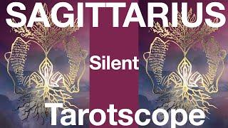 Sagittarius Whatever you can image the universe will deliver. Silent Tarot ASMR, WeeklyMay 4th-10th