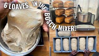 6 Loaves of Whole Grain Bread in The Bosch Mixer + Discount code! @NutriMill