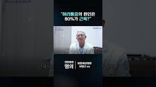 허리통증의 원인은 80%가 근육?