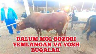 JONDOR TUMAN DALMUNDAGI JUMA MOL BOZORI YEMLANGAN VA YOSH BUQACHALAR 02.09.2022