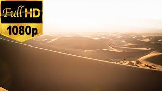 Desert Stock Footage | Free HD Video - no copyright  I Sahara Desert