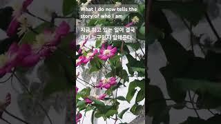 혁자TV #인생의 #쓴경험 #나를만든다 #삶의여정속에서 #행복하세요
