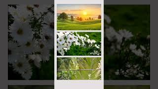 #nature#morning view#sunrise