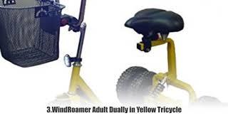  Top 10 Best Tricycles for Adult 