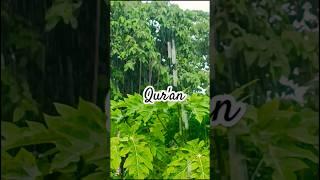 #shortvideo #islamicshorts Qur'an Urdu translation