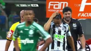 SE Palmeiras vs Santos FC - Copa do Brasil 2015 Final 2nd Leg