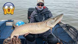 We just caught a MONSTER FISH! Last Day of Walleye Season and it's EPIC!