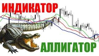 Секреты индикатора Alligator на форекс