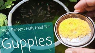 DIY Fish Food - Eggyolk For Your Fish