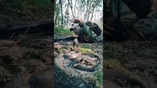 Soldier vs Snake  Viral Video l #shorts #army #snake #fauji #viral