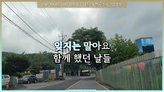 Our Blues, Our Life (우리들의 블루스) - 임영웅 ( Lim Young-woong ) [ 우리들의 블루스 OST ] [ 가사 / Lyrics ]