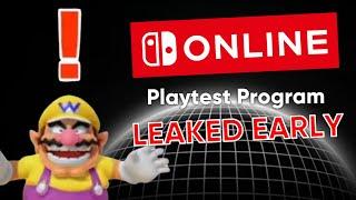 Nintendo's Online Playtest Leaked EARLY & Looks Interesting...