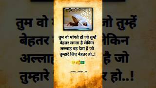 #naat #islamic #muhammadﷺ #status #youtubeshorts #islamicstatus