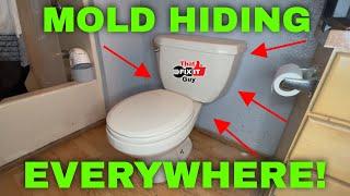 Upgrade Your Bathroom: Swap Out That Moldy Toilet And Fix Your Flange!