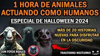 20 HISTORIAS NUEVAS DE ANIMALES ACTUANDO COMO HUMANOS | ESPECIAL DE HALLOWEEN 2024