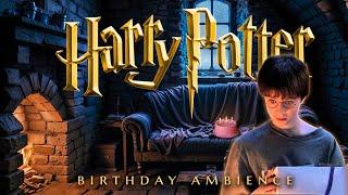 Harry's Birthday  Philosopher's Stone inspired Ambience & Soft Music - Rain & Ocean