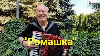 Куда Пропали такие Песни!!!️"Ромашка" / Автор Николай Засидкевич