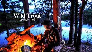 6 Days WILD TROUT Fishing & Camping in a World Class Wilderness Park - Bushcraft Catch & Cook