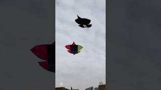 2 kites catch kr li#catch #kite #ytshorts #trending #foryou #shorts