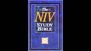 Epistle of James (NIV Audio Bible Non Dramatized)