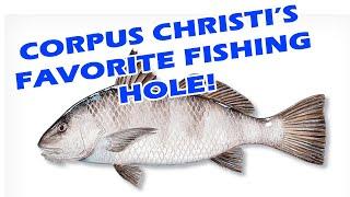 How To Fish The Mud Bridge In Corpus Christi, TX. #howto #fishing #bait
