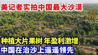 美记者实拍中国最大沙漠植树视频火了！种植上亿颗果树，年盈利可达260亿，非洲惊叹：太牛了！求大哥带带我！#沙漠 #植树 #农业