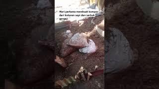 Hari pertama pembuatan pupuk kompos dari kotoran sapi#sobatngarit #bukanmasiyun#bukanfauzana