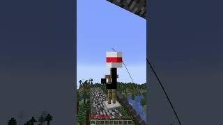 Minecraft I Got So Lucky  (World's Smallest Violin) #shorts