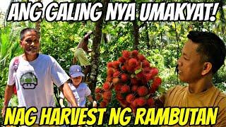 PART-23 || TATAY TOTOY PARANG SI TARZAN! KALABAW MAS LALONG LUMAKI