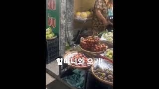 어디가나 끝까지 따라 다니는 오리! #shorts #views #road #grandma #duck #to the end #베트남 #할머니 #오리