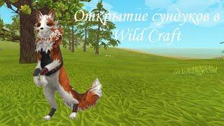 ОТКРЫТИЕ СУНДУКОВ В WILD CRAFT | ВЫПАЛ МИСТИК??