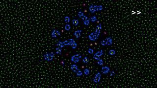 How life emerges from a simple particle motion law: Introducing the Primordial Particle System