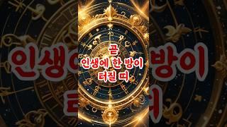 곧 인생에 한방이 터질 띠 #6월 #명언 #2025 #운세 #사주 #띠별운세 #지혜