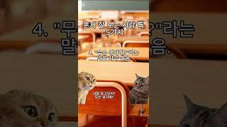 혼자 잘 노는 사람 특징 5가지