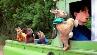 A Daring Rescue | Peter Rabbit | Movie Scene