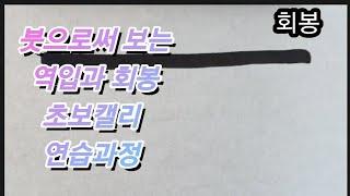 초보캘리그라피 붓으로 써 보는 선긋기 역입과회봉 연습과정