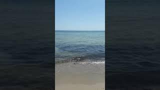 ΑΡΤΕΜΙΔΑ ΛΟΥΤΣΑ 27/07/20 