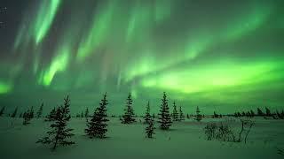 8K Ultra HD Northern Lights Timelapse Compilation from Churchill, Manitoba